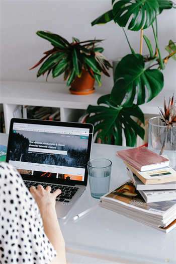 天涯社区高颜值装修图分享：点亮你的居家梦想 第1张